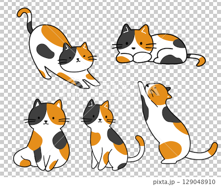 三毛猫のポーズセットイラスト 三毛猫のポーズセットイラスト 129048910