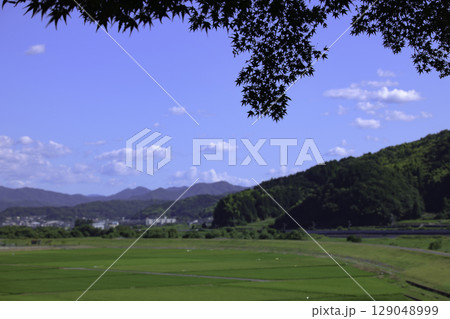 夏の田舎の田園風景 129048999