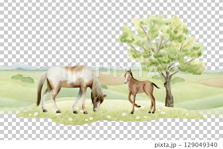 Watercolor horse with colt on green field landscape illustration isolated on white. Horizontal countryside pasture scene with hills and tree for farm and village designs. Grazing animals clip art Watercolor horse with colt on green field landscape illustration isolated on white. Horizontal countryside pasture scene with hills and tree for farm and village designs. Grazing animals clip art 129049340