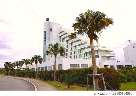 ANAインターコンチネンタル石垣リゾート 129049890