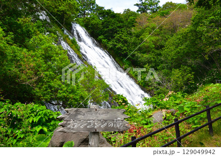 北海道　オシンコシンの滝 129049942