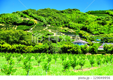 熊本県宇城市三角町大口の風景【2025.7】 129049956