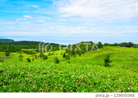北海道　知床五湖高架木道よりオホーツク海 129050368