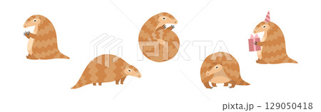 Cute Armadillo Character with Shell in Different Action Vector Set 129050418