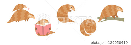 Cute Armadillo Character with Shell in Different Action Vector Set 129050419