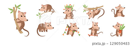 Cute Opossum Animal with Tail in Various Pose Vector Set 129050483