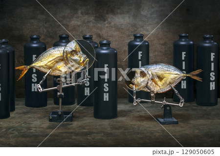 Still life with moonfish and bottles with the inscription Fish 129050605