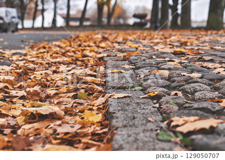 Urban sidewalk covered in fallen leaves during autumn season. Removal of fall foliage reflects urban upkeep. Municipal services problems, seasonal tasks, and city infrastructure concept 129050707