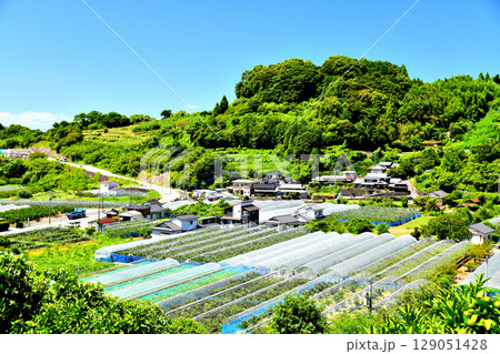 熊本県宇城市不知火町大見の風景【2025.7】 129051428