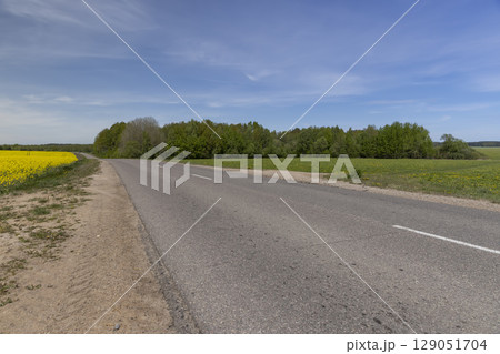 road in a field on one side grows flowering rapeseed, and on the other side grows green grass against a blue sky with clouds 129051704