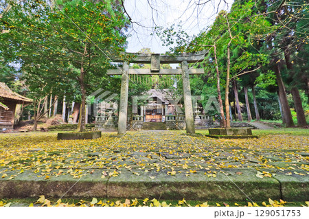 福岡県朝倉市上秋月にある秋月八幡宮鳥居と拝殿 129051753