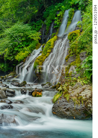 【山梨県】吐竜の滝（どりゅうのたき）　深緑 129051994