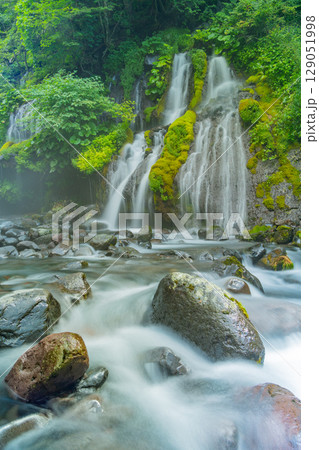 【山梨県】吐竜の滝（どりゅうのたき）　深緑 129051998