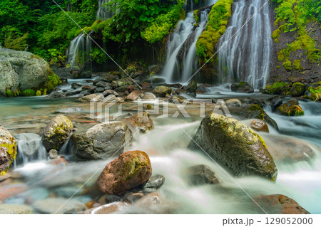 【山梨県】吐竜の滝（どりゅうのたき）　深緑 129052000