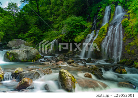 【山梨県】吐竜の滝(どりゅうのたき) 深緑 【山梨県】吐竜の滝(どりゅうのたき) 深緑 129052001