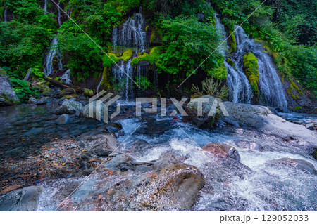【山梨県】吐竜の滝(どりゅうのたき) 深緑 【山梨県】吐竜の滝(どりゅうのたき) 深緑 129052033