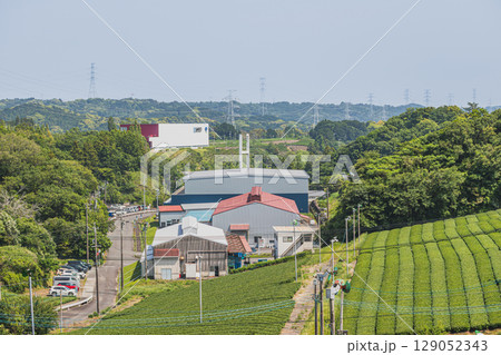 菊川市の高台から見た茶畑の風景(静岡県) 129052343