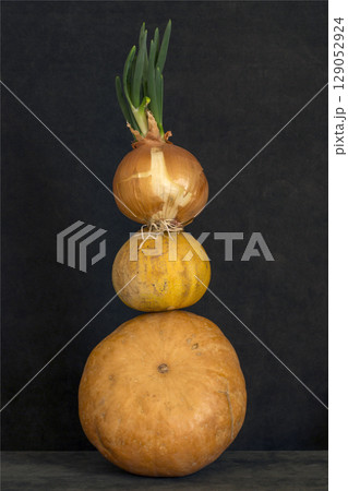 Still life with several pumpkins and sprouted onions Still life with several pumpkins and sprouted onions 129052924