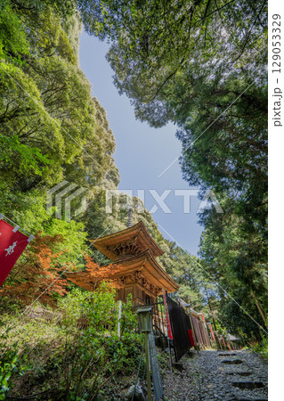 日龍峯寺境内の景色 北条政子の寄進した多宝塔 日龍峯寺境内の景色 北条政子の寄進した多宝塔 129053329