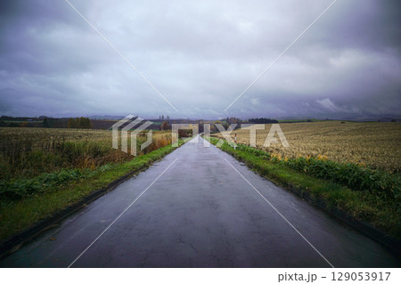 小雨降る北海道美瑛町の晩秋の道のある風景 小雨降る北海道美瑛町の晩秋の道のある風景 129053917