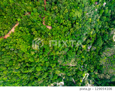 High angle view mountains rainforest green background 129054106