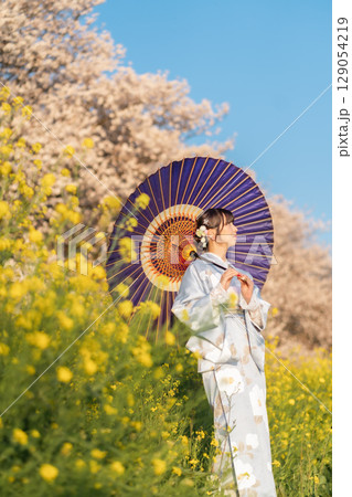 夕暮れ時に和傘を持って満開の桜の下を歩くミドル女性 129054219