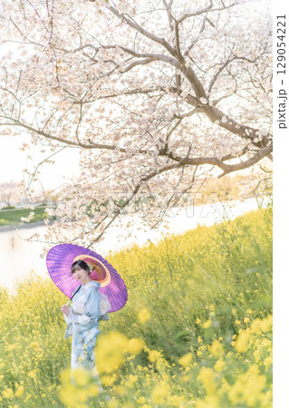 夕暮れ時に和傘を持って満開の桜の下を歩くミドル女性 129054221