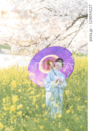 夕暮れ時に和傘を持って満開の桜の下を歩くミドル女性 129054227