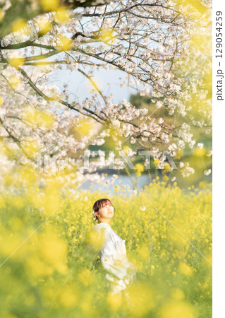 夕暮れ時に和傘を持って満開の桜の下を歩くミドル女性 129054259