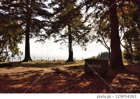 石垣山一夜城歴史公園 南曲輪 石垣山一夜城歴史公園 南曲輪 129054263