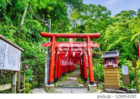 鎌倉市　佐助稲荷神社　赤鳥居の参道　源頼朝ゆかりのパワースポット 129054285