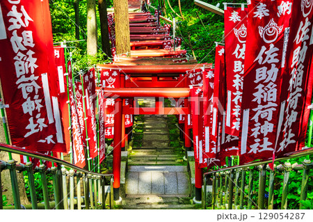 鎌倉市　佐助稲荷神社　赤鳥居の参道　源頼朝ゆかりのパワースポット 129054287