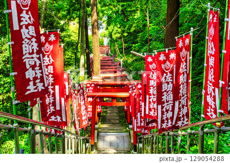 鎌倉市　佐助稲荷神社　赤鳥居の参道　源頼朝ゆかりのパワースポット 129054288