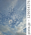 晴天の鱗雲② 129054376