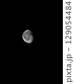 月 129054484