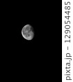 月 129054485