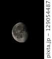 月 129054487