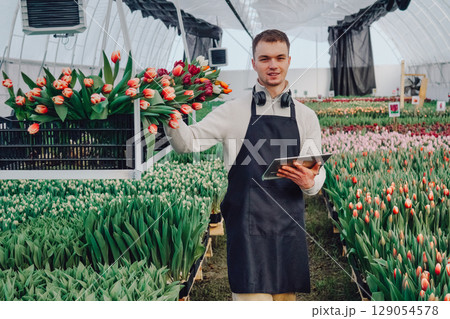 Young male florist in apron holding bouquet of tulips while using tablet in vibrant greenhouse filled with colorful flowers, showcasing the art of floral arrangement and modern technology in gardening 129054578