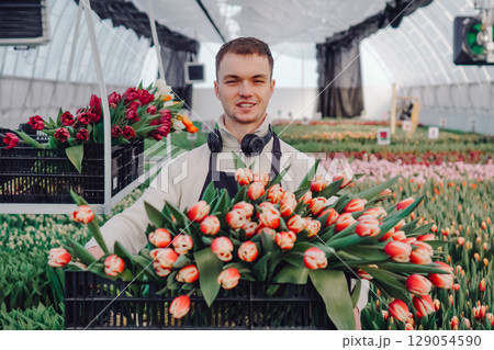 Young male florist in greenhouse holding large bouquet of tulips, surrounded by colorful flowers, showcasing the beauty of floral arrangements and the art of flower cultivation in a lively environment 129054590