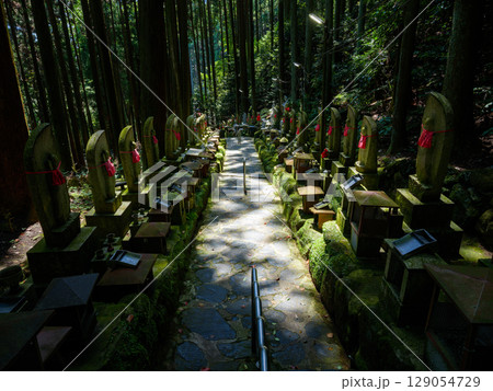 【奈良県】生駒市 寶山寺(宝山寺) (2025/07/29撮影) 129054729