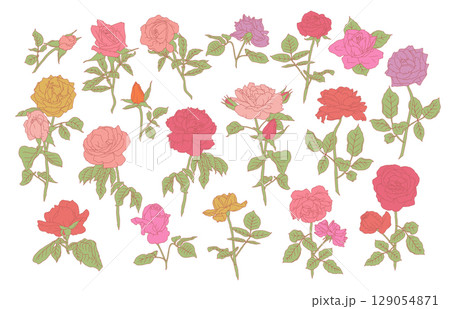 Hand drawn line art pastel pink and purple rose flowers set isolated on white background 129054871