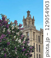 Beautiful flowers bloom near historic architecture under a clear blue sky 129054903