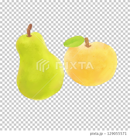 水彩で描いた洋梨と和梨のイラスト 129055571