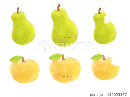 水彩で描いた洋梨と和梨のイラスト セット 129055577