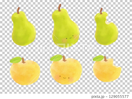 歐洲與日本梨的水彩插圖集 129055577
