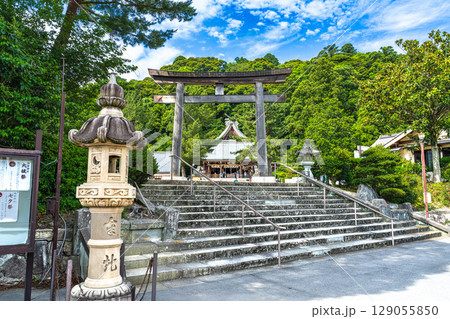 【石見国一宮】物部神社　初夏の鳥居と境内　島根県大田市 129055850