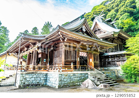 【石見国一宮】物部神社 初夏の拝殿と本殿1 島根県大田市 【石見国一宮】物部神社 初夏の拝殿と本殿1 島根県大田市 129055852