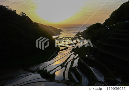 玄海灘の絶景　浜野浦棚田 129056055