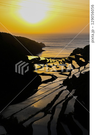 玄海灘の絶景　浜野浦棚田 129056056