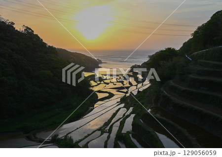 玄海灘の絶景　浜野浦棚田 129056059
